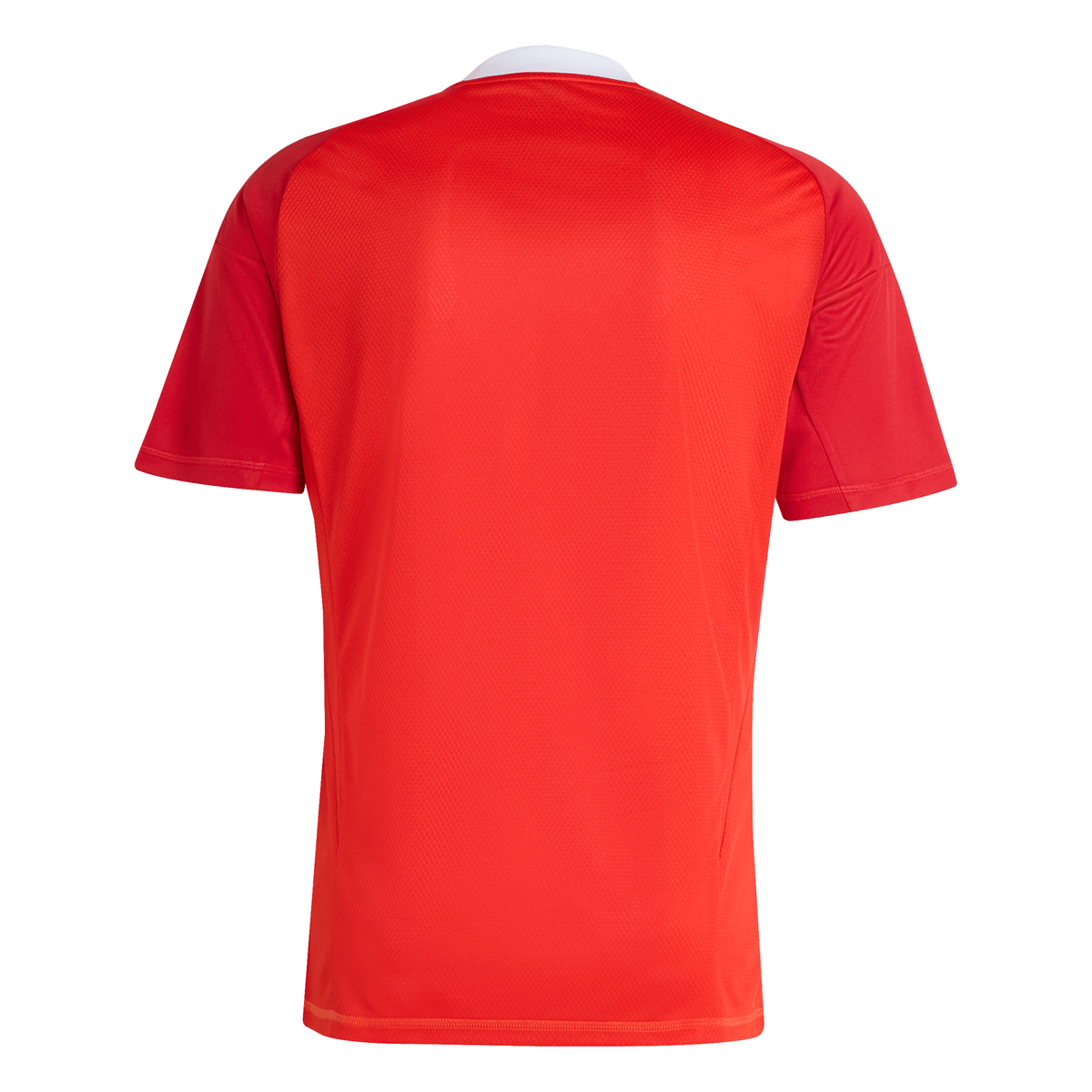 Manto Flamengo Goleiro 3 2025/26 - Versão Torcedor