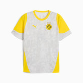 Camisa Borussia Dortmund 2025/26 Treino - Cinza Claro