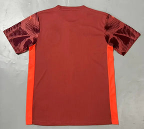 Camisa Palmeiras 25/26 Laranja Treino