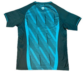 Camisa Bayern de Munique 2025/26 Treino Verde